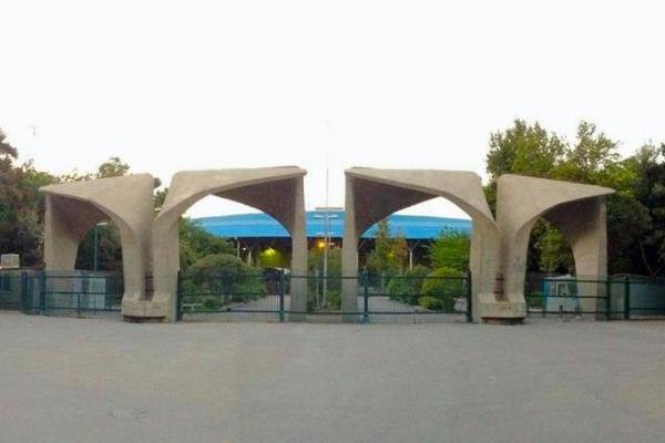 دانشگاه تهران